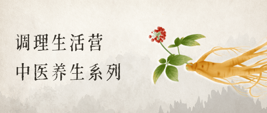调理生活营：中医养生系列-客创社 - 专注互联网轻资产创业及网络项目资源整合与分享福鑫网创 -  免费且强大的项目分享网站