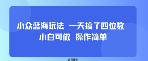 小众蓝海玩法 一天搞了四位数 小白可做 操作简单 - 项目资源网