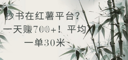 抄书在小红薯平台？平均一单30米，一天收益几张！-客创社 - 专注互联网轻资产创业及网络项目资源整合与分享福鑫网创 -  免费且强大的项目分享网站