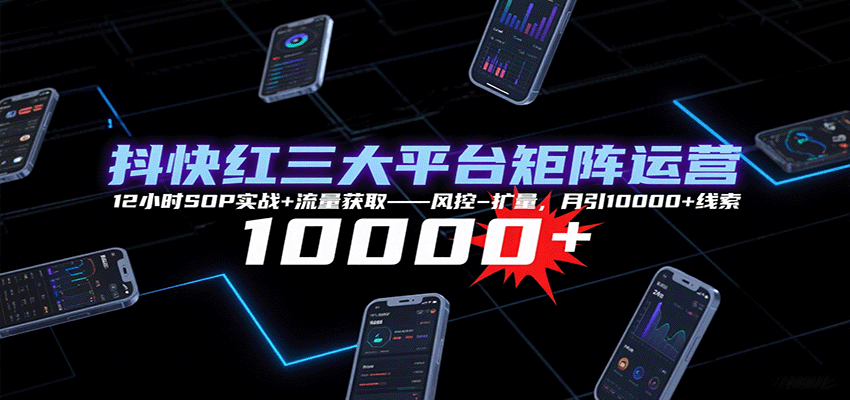 抖快红三大平台矩阵运营，12小时SOP实战+流量获取-风控-扩量，月引10000+线索 - 项目资源网