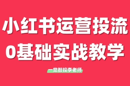 李老师·小红书运营投流，0基础实战教学(更新)福鑫网创-专注互联网轻资产创业及网络项目资源整合与分享福鑫网创-免费且强大的项目分享网站！