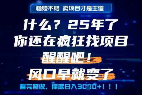 什么？25年你还在疯狂找项目做，醒醒吧，看完这些你全都懂了！【揭秘】-客创社 - 专注互联网轻资产创业及网络项目资源整合与分享福鑫网创 -  免费且强大的项目分享网站