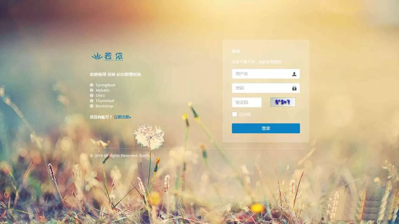 RuoYi若依管理系统最新版 基于SpringBoot的权限管理系统