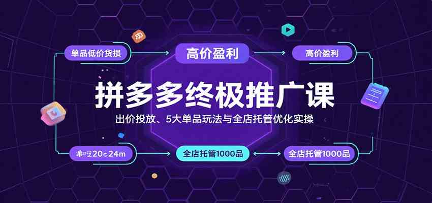 拼多多终极推广课：出价投放、5大单品玩法与全店托管优化实操 - 项目资源网