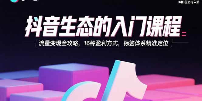 （15856期）抖音生态的入门课程：流量变现全攻略，16种盈利方式，标签体系精准定位 - 项目资源网