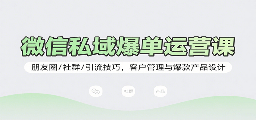 微信私域爆单运营课：朋友圈/社群/引流技巧，客户管理与爆款产品设计 - 项目资源网