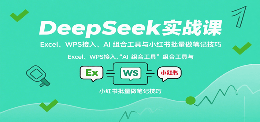 DeepSeek实战课：Excel、WPS接入、AI 组合工具与小红书批量做笔记技巧 - 项目资源网