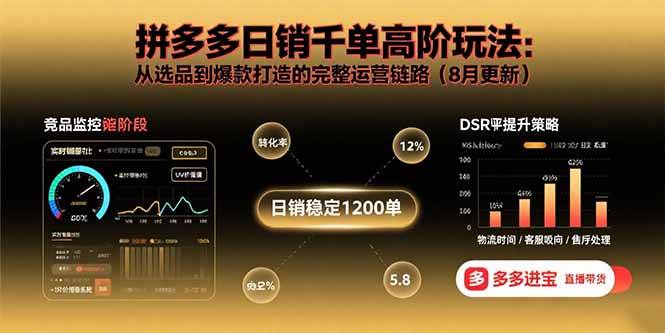 （15850期）拼多多日销千单高阶玩法：从选品到爆款打造的完整运营链路（8月更新） - 项目资源网